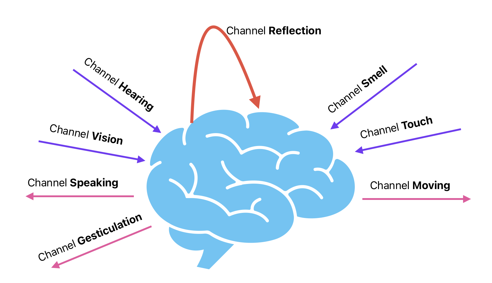 Figure 7: Reflection Channel in Human Brain.